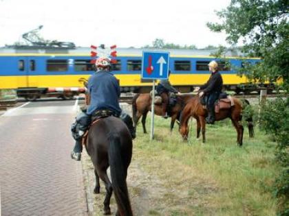 NVVR viert jubileum met sterrit