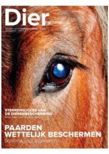 Dierenbescherming pleit voor diploma paardenhouders